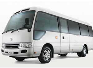 Coaster Saloon Normal