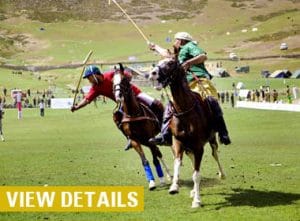 Shandur Polo Festival tour package